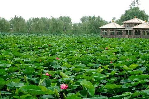 沈阳 旅游攻略_沈阳攻略旅游的地方_沈阳旅游攻略