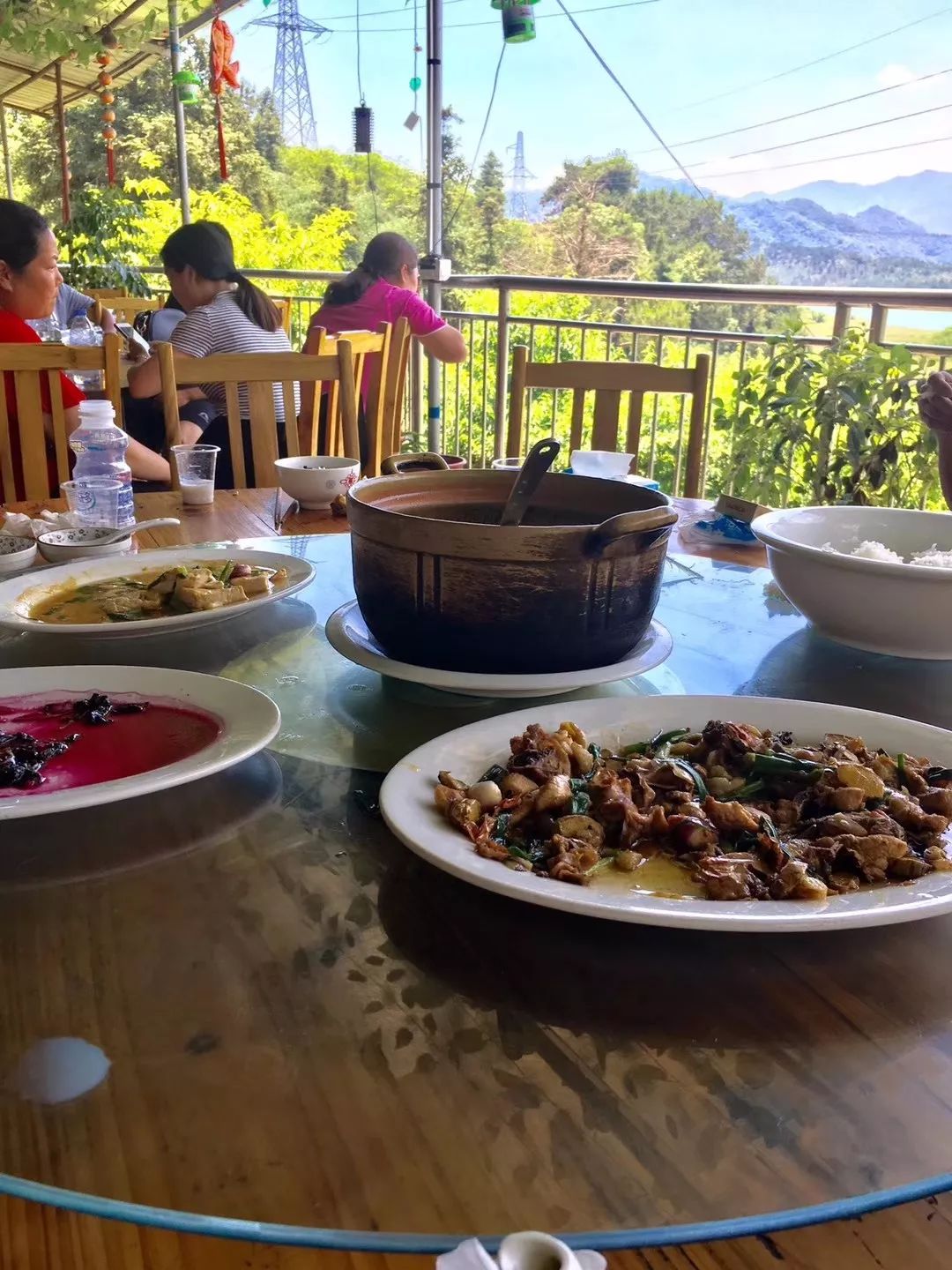 千湖湿地公园旅游攻略_龙泉湖公园更名龙泉湖湿地_杭州湾湿地旅游攻略