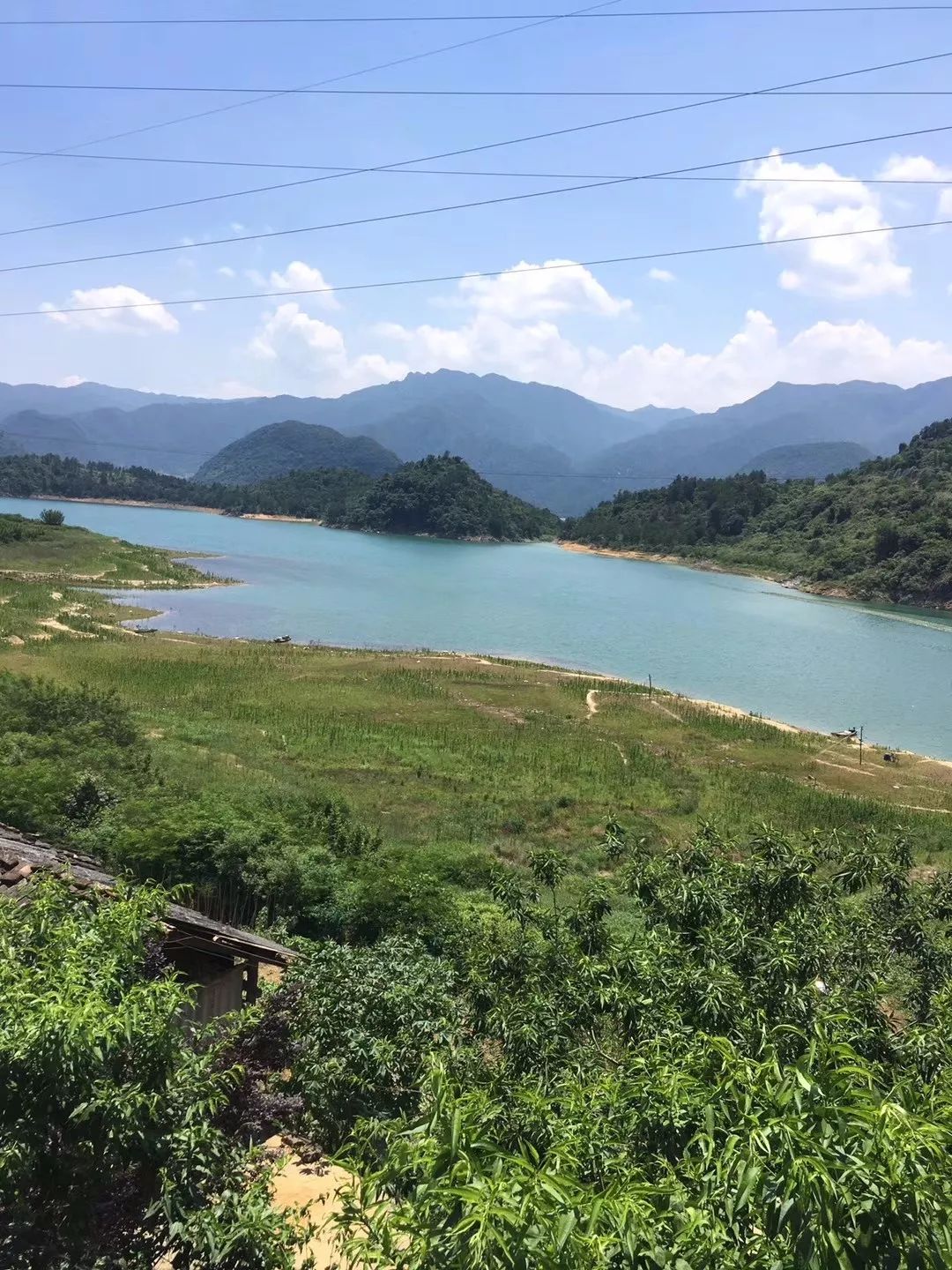 千湖湿地公园旅游攻略_杭州湾湿地旅游攻略_龙泉湖公园更名龙泉湖湿地