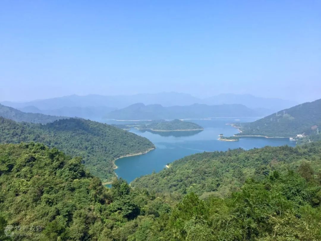 千湖湿地公园旅游攻略_杭州湾湿地旅游攻略_龙泉湖公园更名龙泉湖湿地