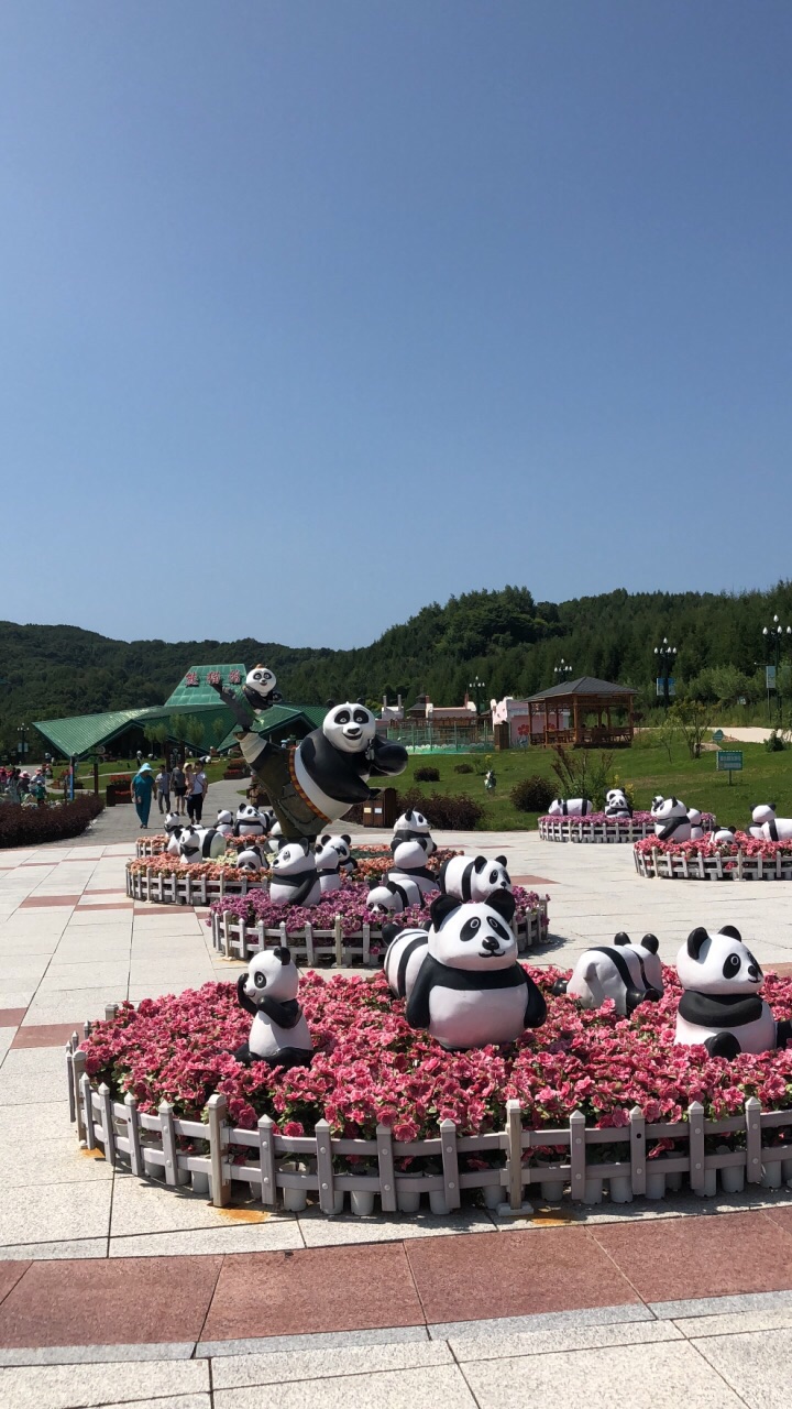 又见都江堰寻迹天府之源探寻昆虫奥秘感受熊猫文化