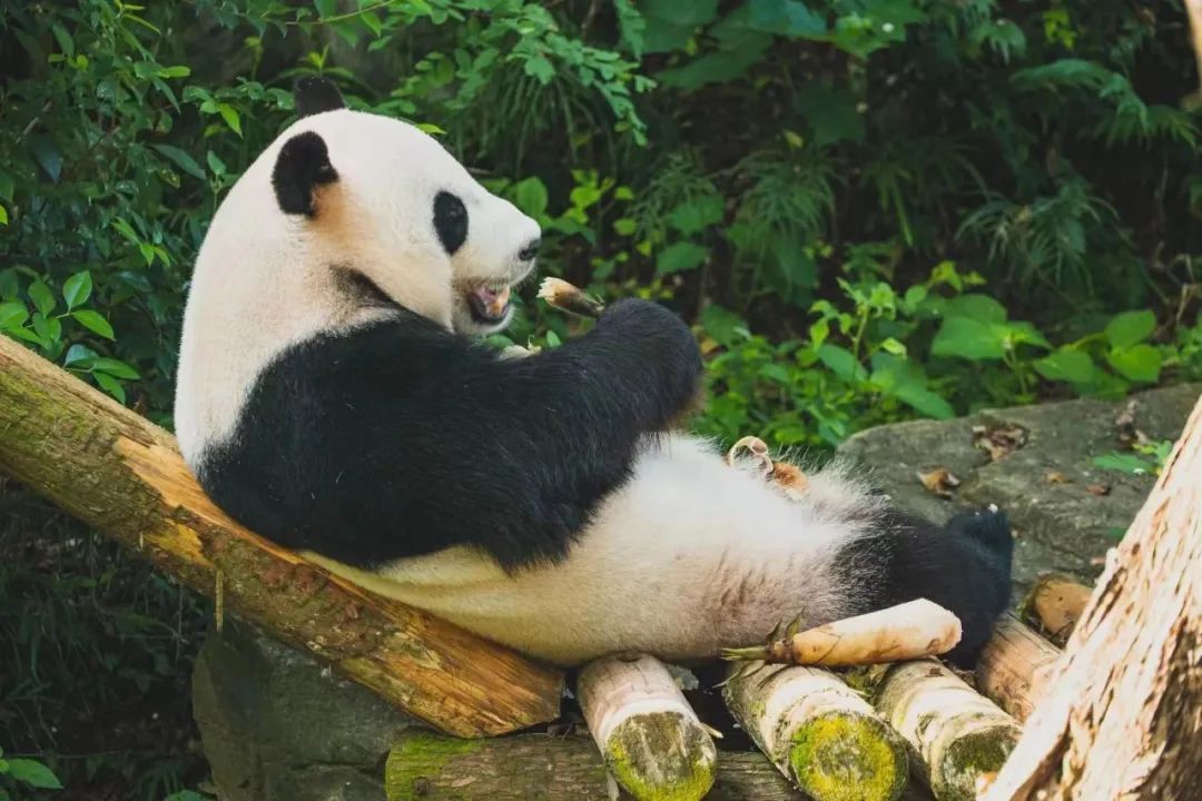 好玩景点南京有几个_南京好玩儿的景点_南京有啥好玩的景点