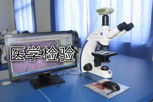 医学检验专业个人简历表格_简历医学检验模板专业怎么写_医学检验专业简历模板