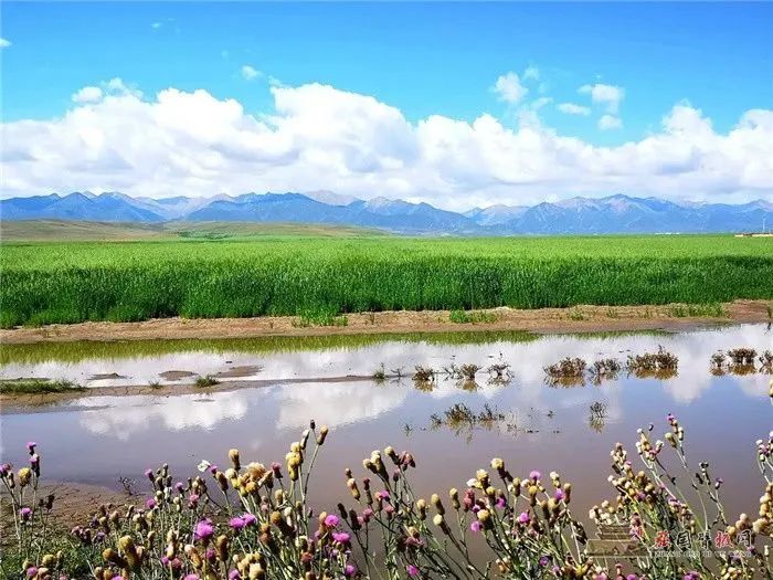 甘肃攻略旅游景点大全_甘肃的旅游攻略_甘肃攻略旅游自由行