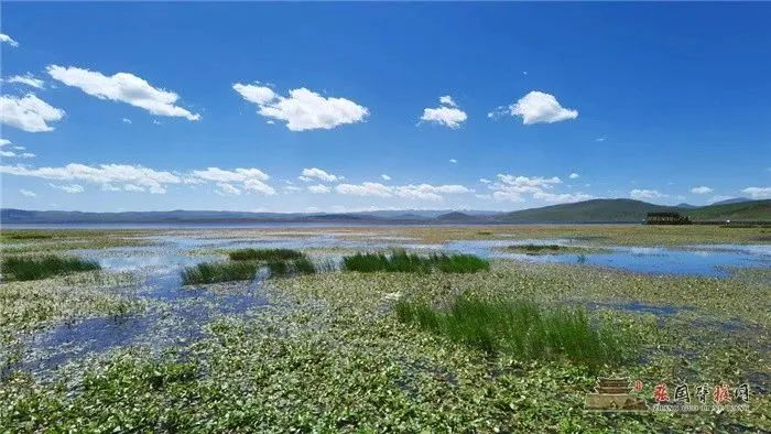 甘肃攻略旅游自由行_甘肃的旅游攻略_甘肃攻略旅游景点大全