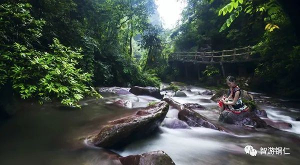 铜仁旅游攻略_铜仁旅游路线_铜仁旅行攻略