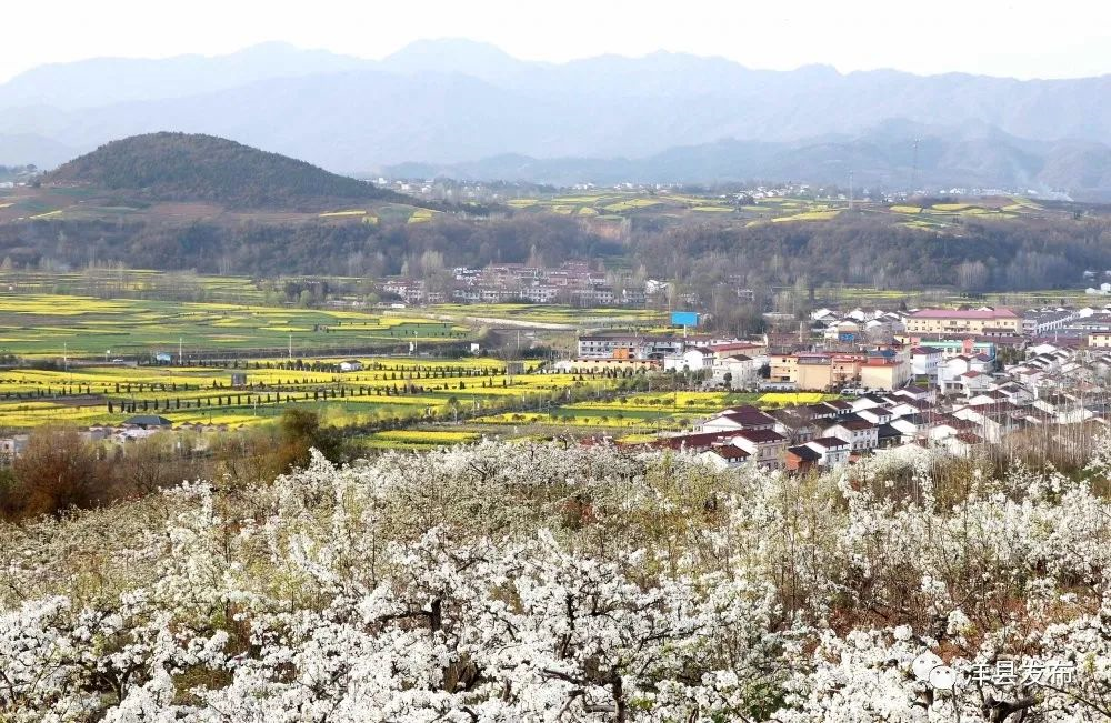 陕西洋县景点_陕西省洋县旅游_陕西洋县旅游攻略