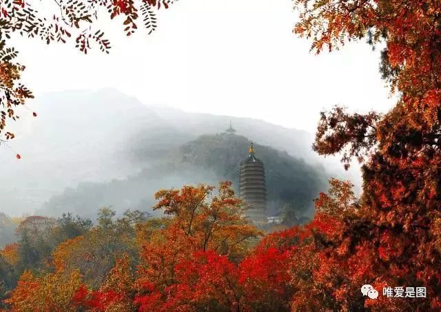 北京郊区游玩攻略，不要等到秋天过了，才想要去玩！