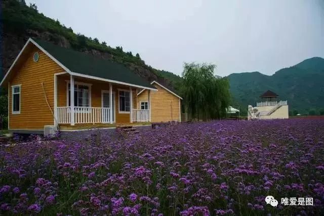 北京八大处公园求什么_八大处公园旅游攻略_八大处公园游记