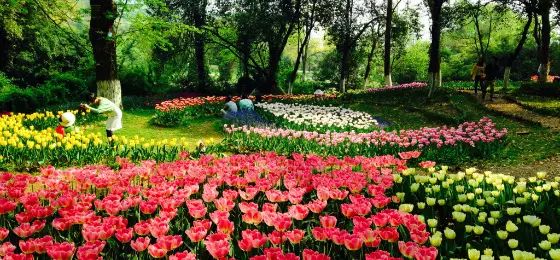 九宫山图_九宫山地图指南_春节九宫山旅游攻略