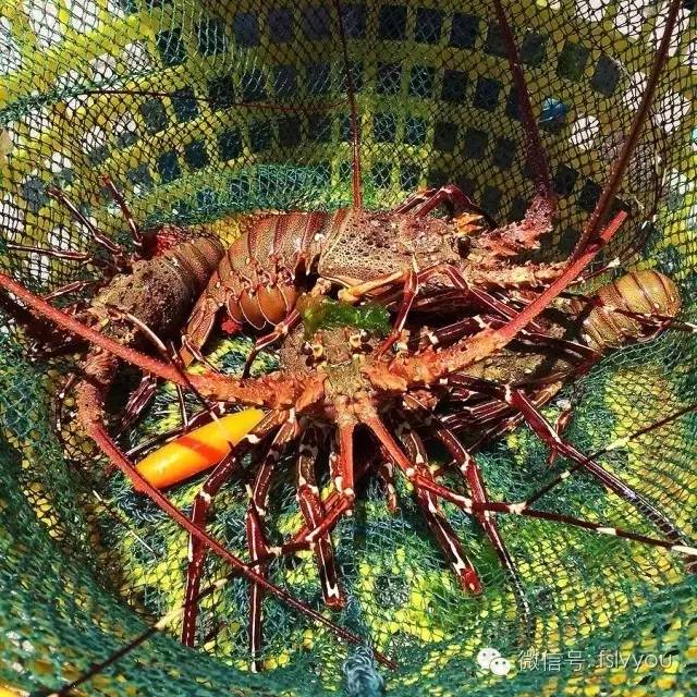 珠海庙湾岛酒店哪家好_珠海庙湾岛旅游攻略_珠海庙湾岛游玩攻略