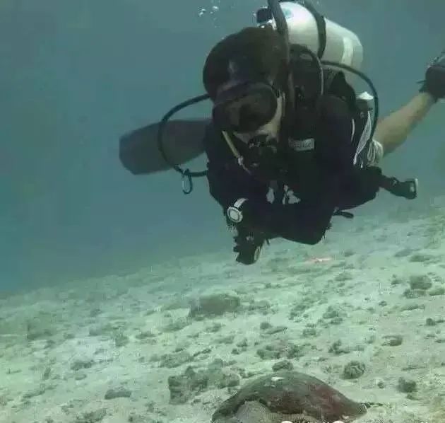 珠海庙湾岛旅游攻略_珠海庙湾岛酒店哪家好_珠海庙湾岛游玩攻略