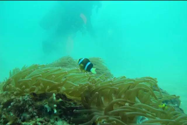 珠海庙湾岛旅游攻略_珠海庙湾岛酒店哪家好_珠海庙湾岛游玩攻略