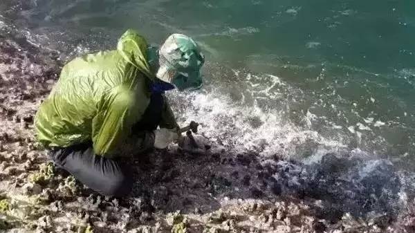 珠海庙湾岛酒店哪家好_珠海庙湾岛游玩攻略_珠海庙湾岛旅游攻略