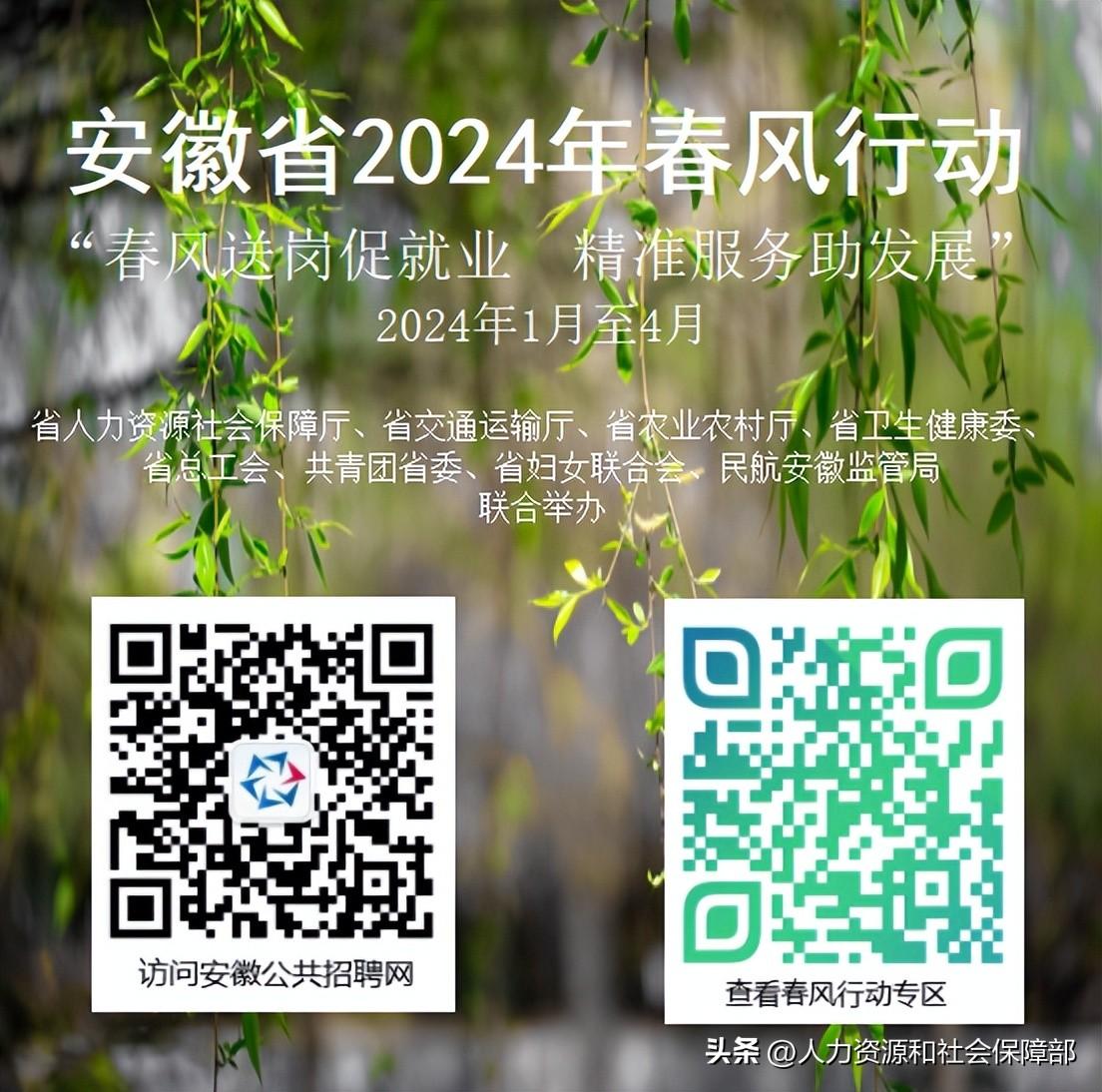 招聘_招聘网_招聘网boss直聘
