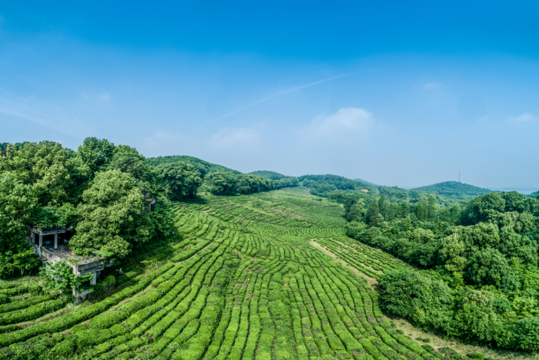 花山软件新城公司招聘_花山软件园新城社区_花山 软件新城