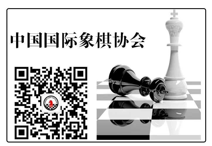 中国象棋复盘分析软件_象棋复盘软件国际版下载_国际象棋复盘软件