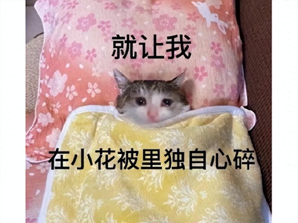 主播_主播培训_主播笑笑和西卡锐评霸哥事件