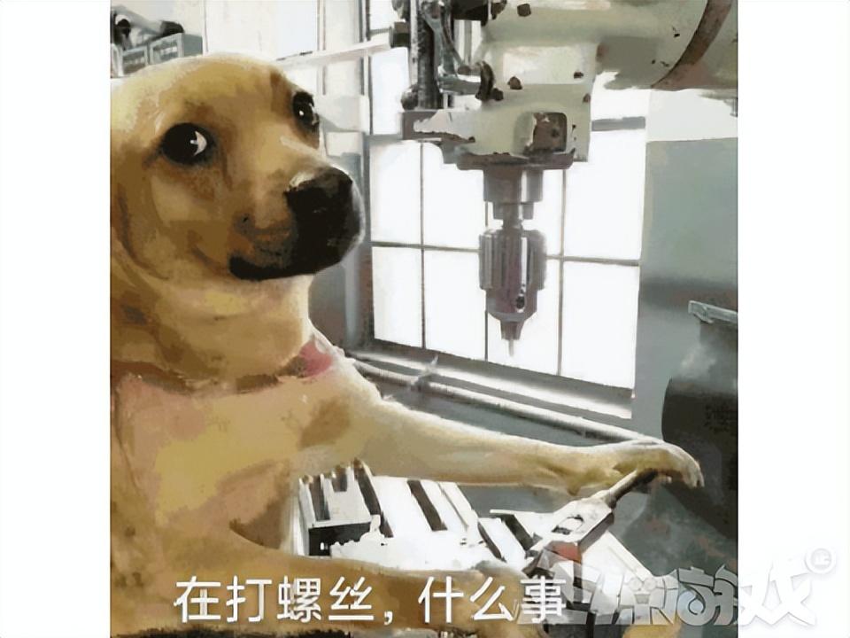 主播笑笑和西卡锐评霸哥事件_主播培训_主播
