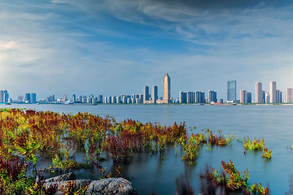 芜湖长江水质_长江芜湖段水位2021_芜湖长江水位线