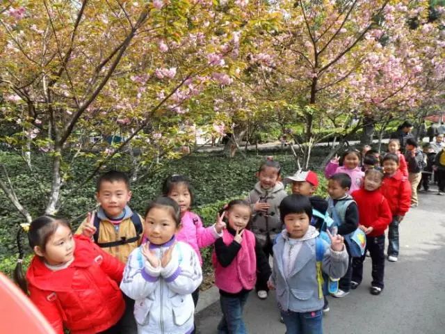 芜湖公共自行车收费标准_芜湖市自行车_芜湖公共自行车 活动