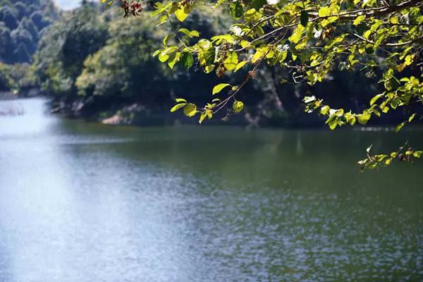 芜湖市自行车_芜湖公共自行车收费标准_芜湖公共自行车 活动