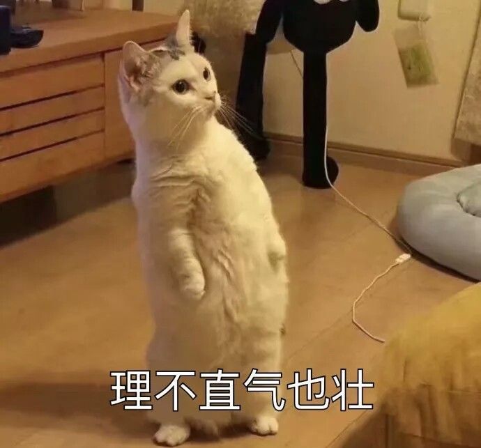 （招聘）龙泉驿区常春藤幼儿园招聘教师公告（1-2名）