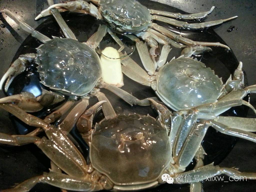 芜湖阳光半岛大酒店电话号码_芜湖阳光半岛度假村_芜湖阳光半岛酒店现在谁经营