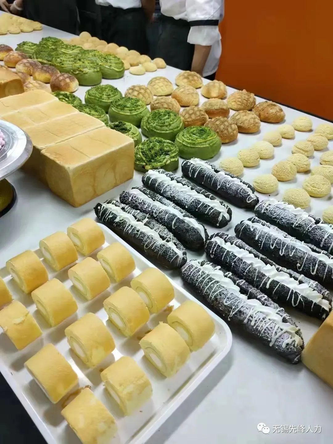 招聘信息_招聘信息2024_招聘信息最新招聘2024