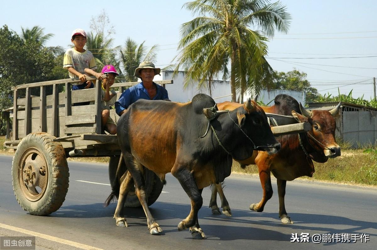 职场奋斗格言 （李向东）现在看还不晚！（深度好文）