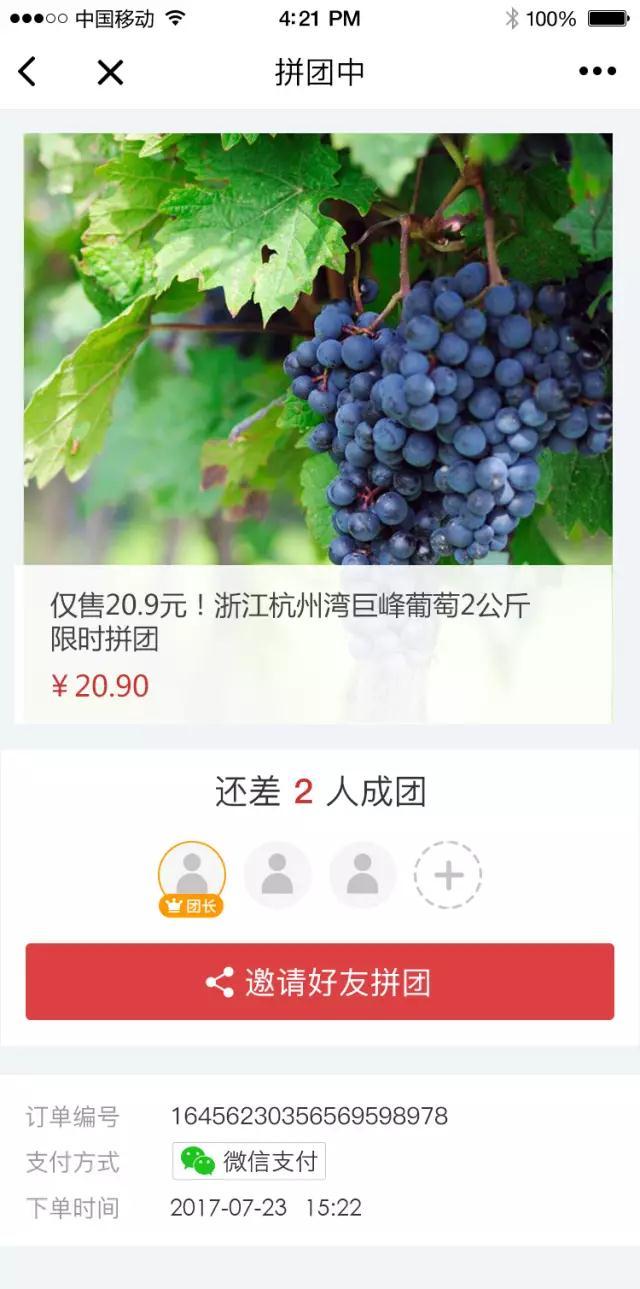 水果软件使用说明_教程水果软件有哪些_水果软件教程