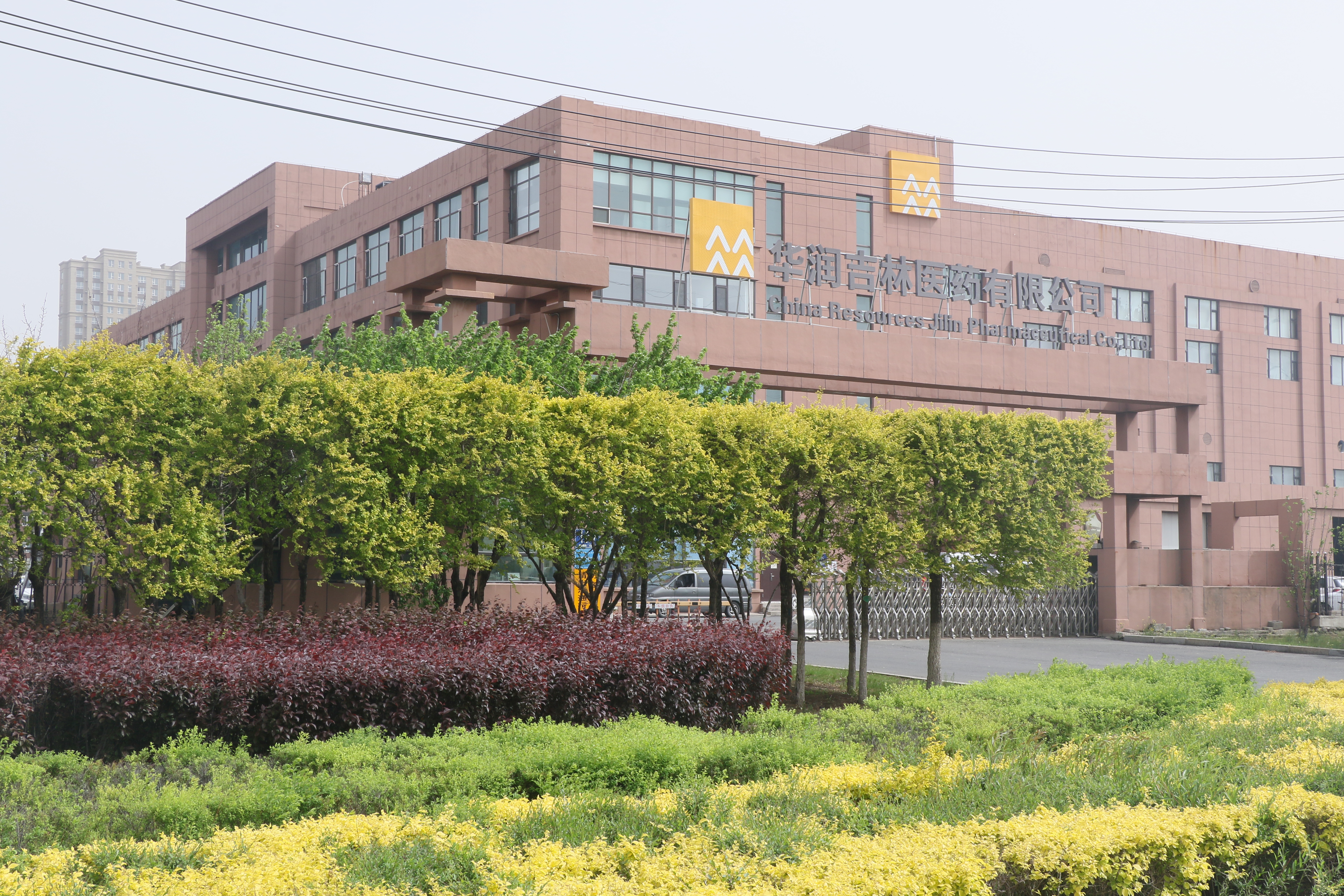 招聘信息发布文案_招聘信息_招聘信息2024