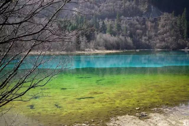 云南旅游团的玉是真的吗_云南旅游团带去买的玉真不真_旅游团云南买玉的骗局