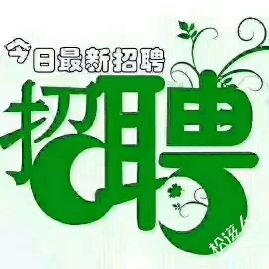 桐城举行2024年“春风行动”招工引才促就业大型招聘会