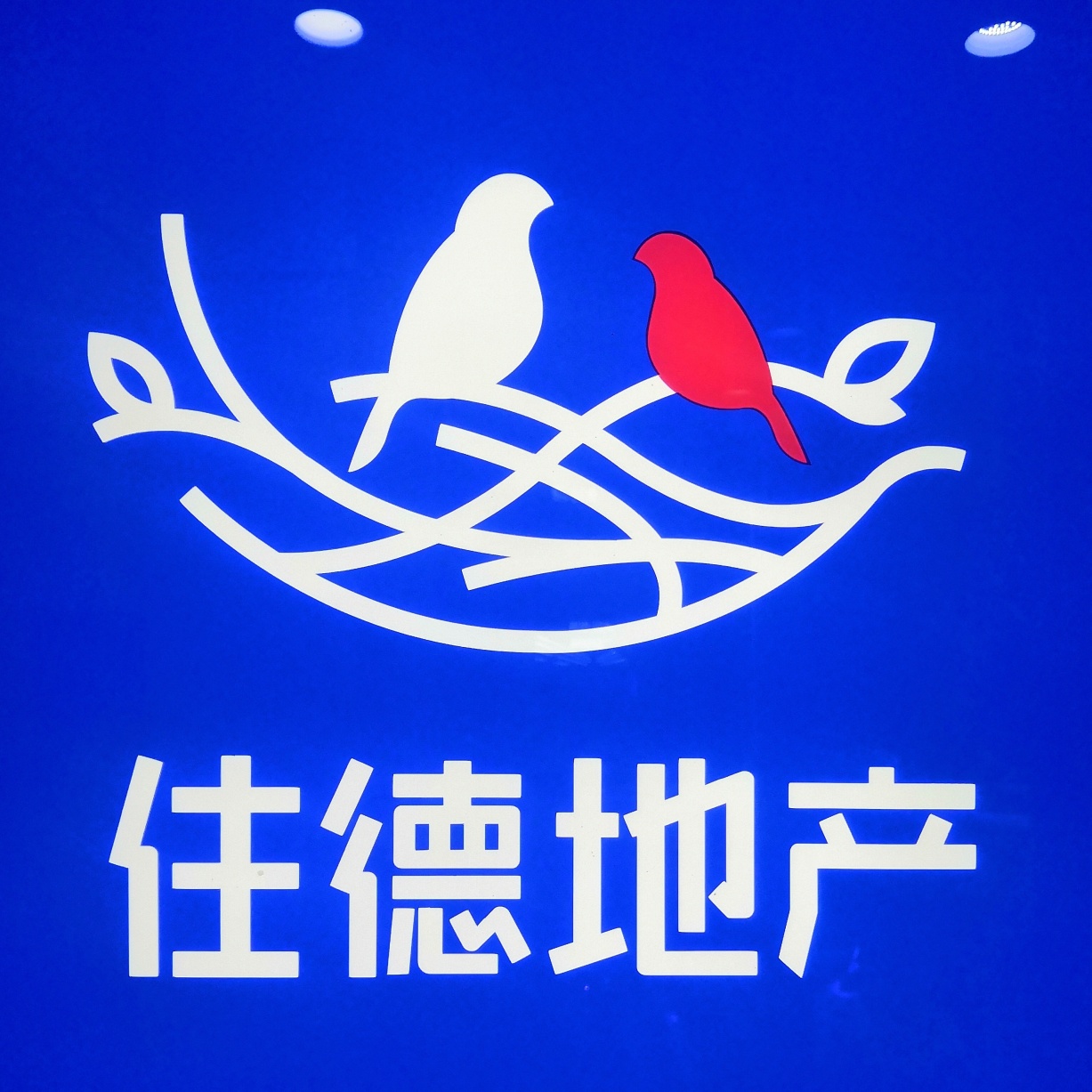 招聘_招聘会_招聘网