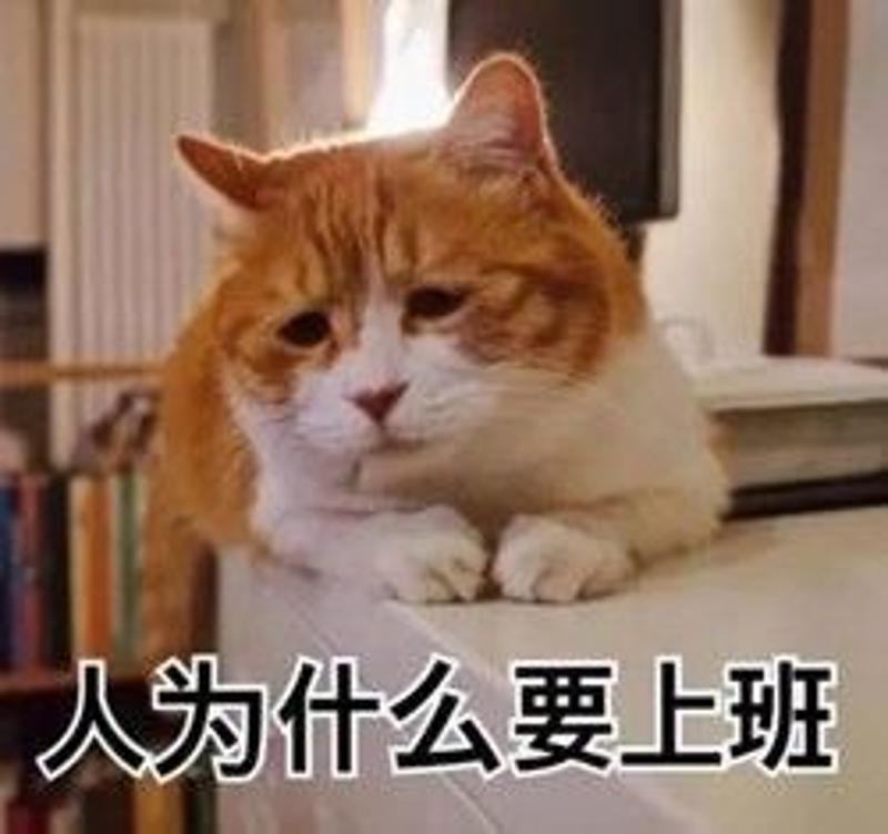 招聘_营口人才网招聘招聘_招聘58同城找工作