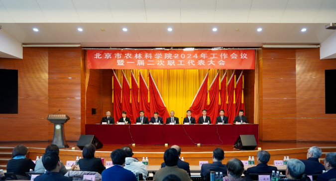 招聘网_招聘_招聘网boss直聘