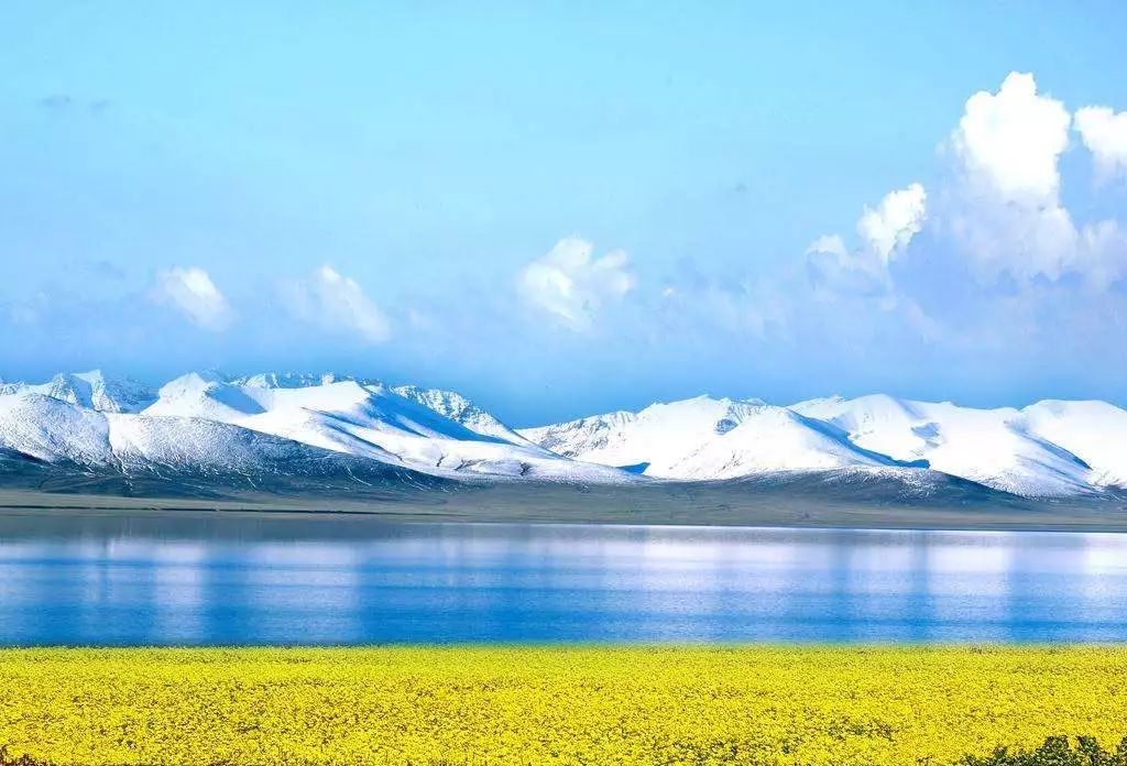 青海湖包车骗局_青海包车游骗局_青海湖包车师傅