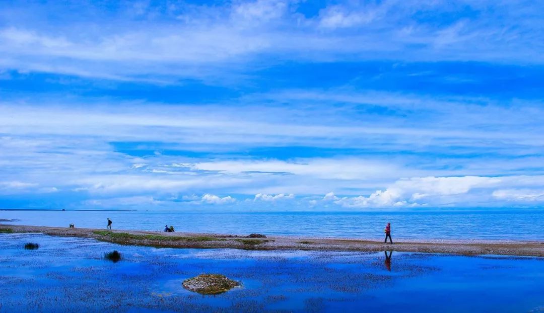 青海湖包车骗局_青海湖包车师傅_青海包车游骗局