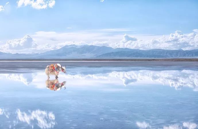 青海包车游骗局_青海湖包车师傅_青海湖包车骗局