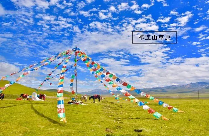 青海包车游骗局_青海湖包车师傅_青海湖包车骗局