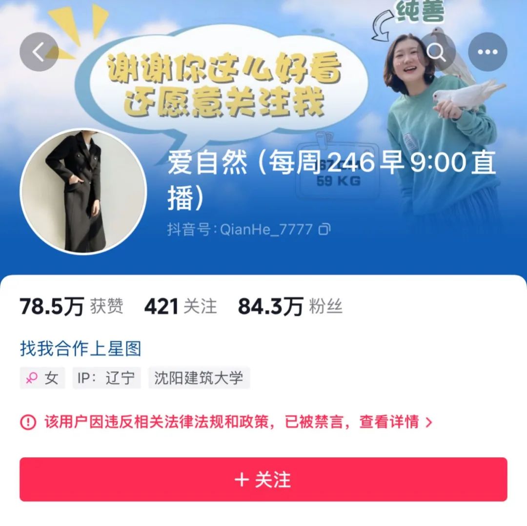 主播打赏怎么才被认定为诈骗_主播_主播用什么剪辑视频