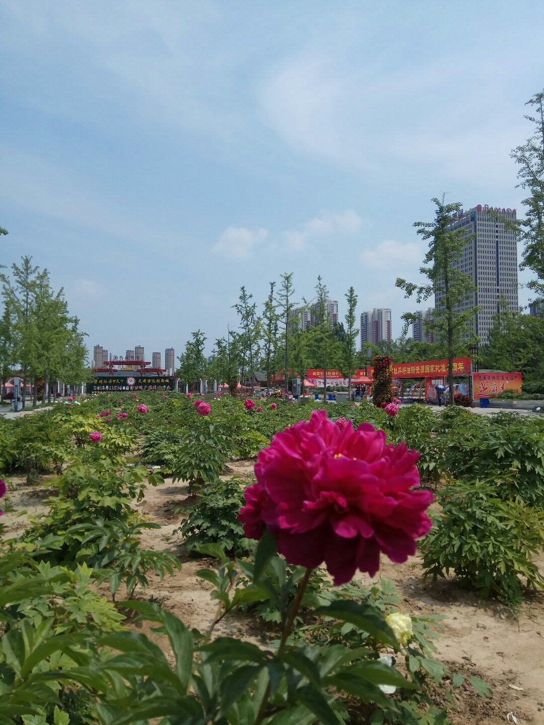 招聘信息发布_招聘信息网最新招工信息_招聘信息