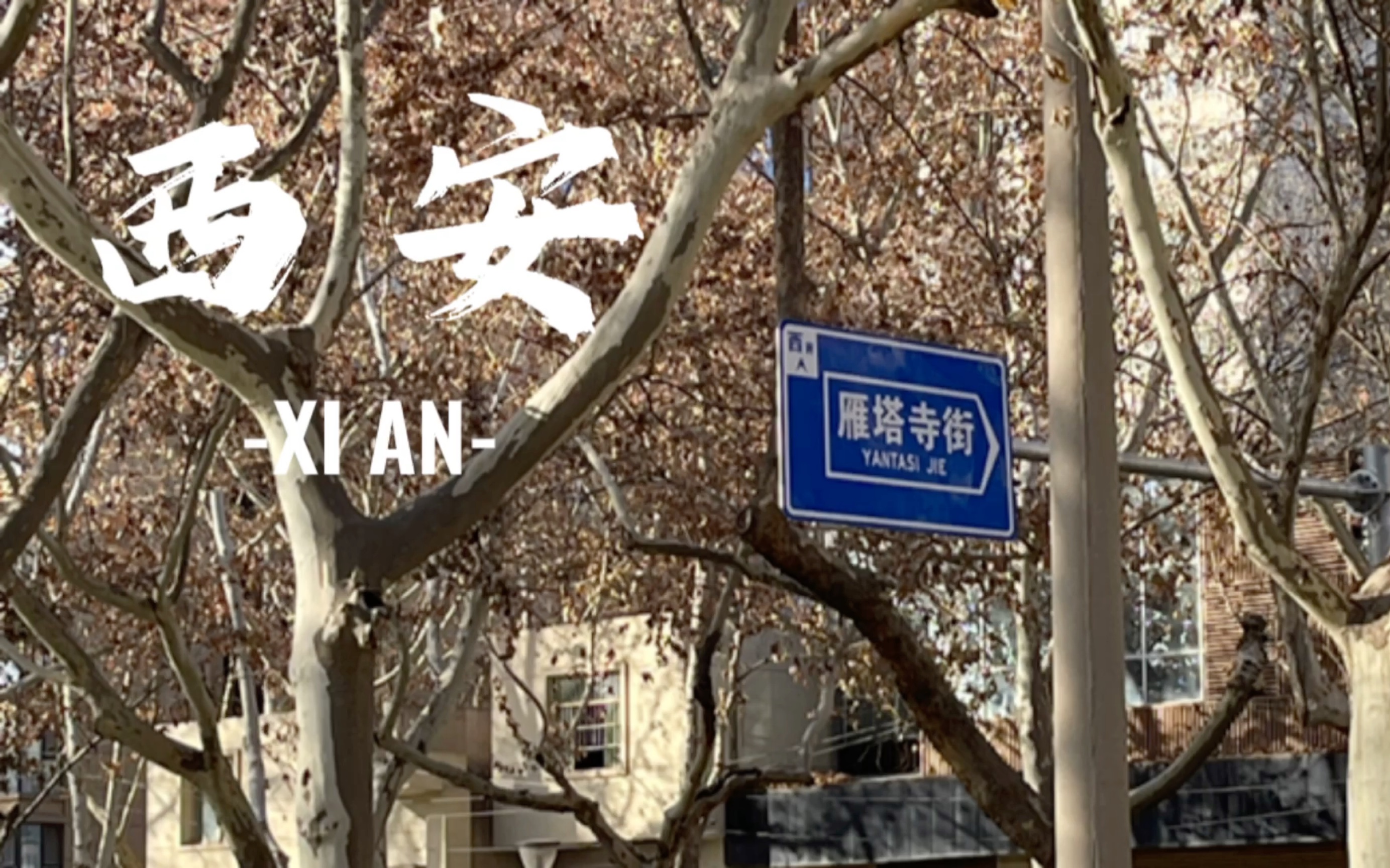 3月25日 西安招聘群 求职群  招工群
