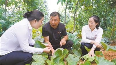 防骗金点子_有什么好的防诈金点子_防诈骗金点子征集方案