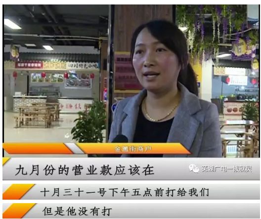 芜湖绿地8#地块安置房_芜湖绿地8号地块_芜湖绿地房子