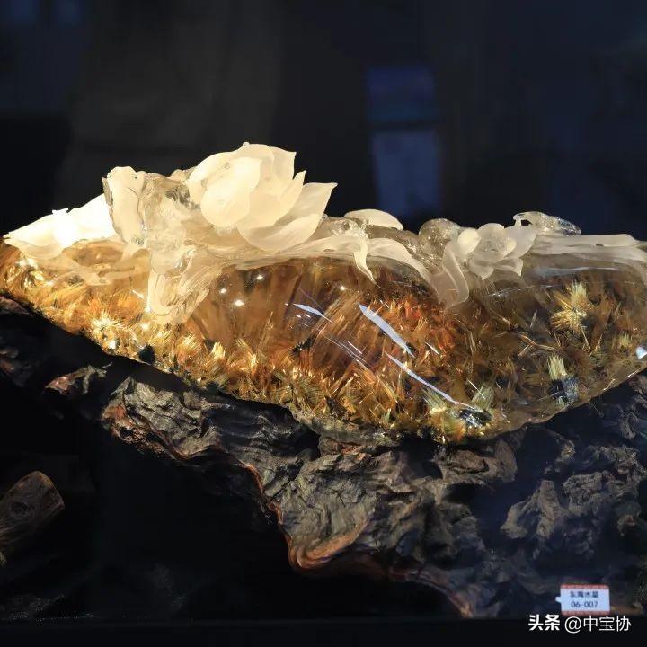 展会_展会展台搭建_展会照片