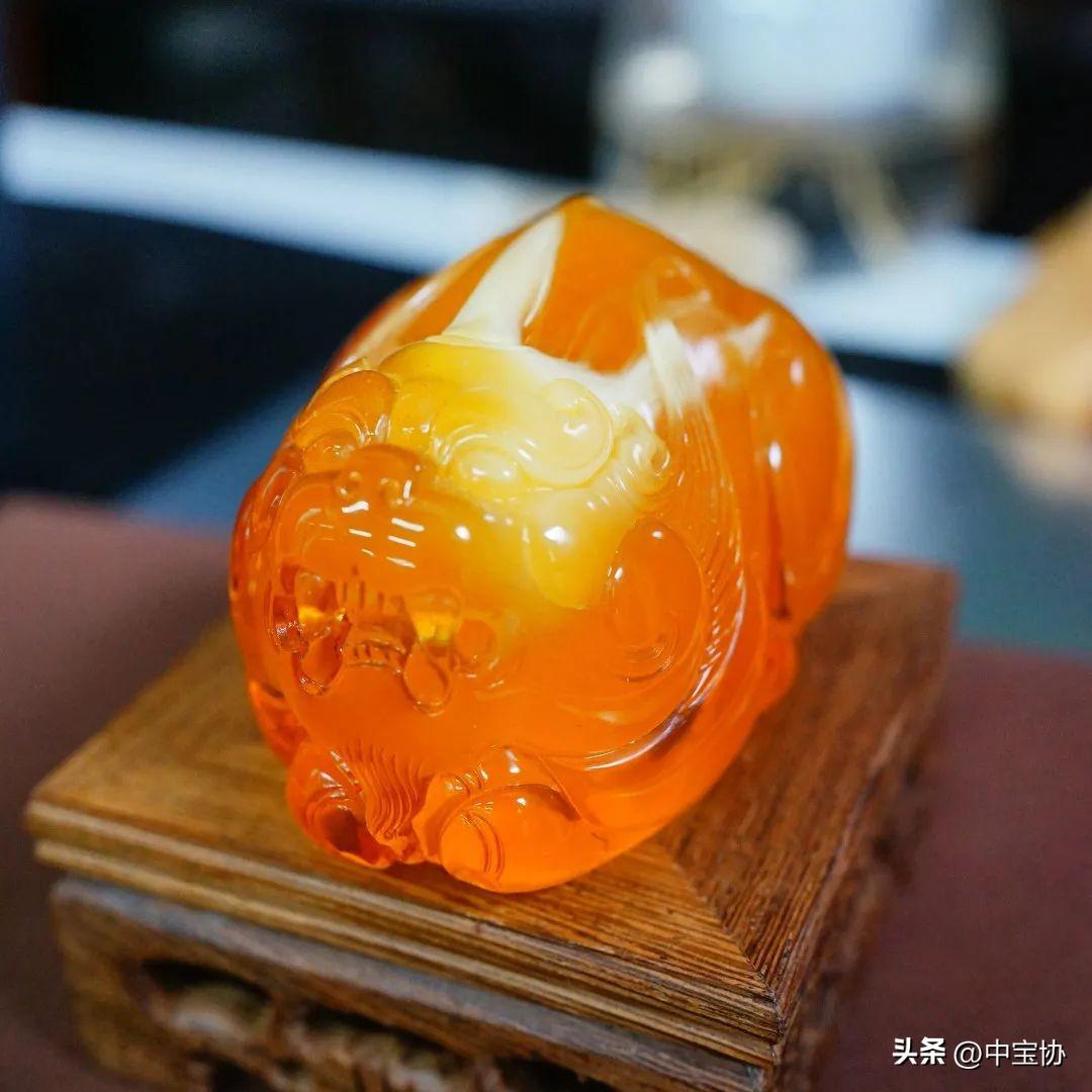 展会展台搭建_展会照片_展会