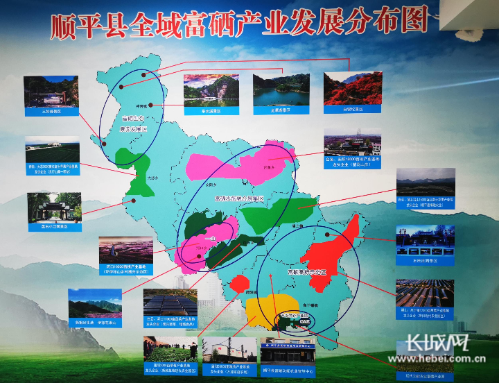阜平国有公司招聘公告