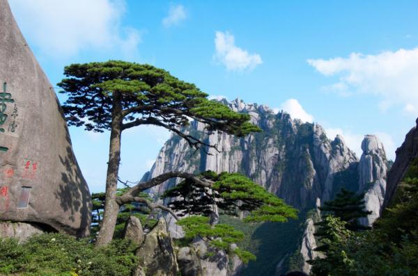 芜湖凤凰美食街吃饭贵吗_芜湖凤凰美食街吃饭的地方_芜湖凤凰美食街必吃